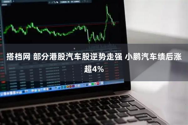 搭档网 部分港股汽车股逆势走强 小鹏汽车绩后涨超4%