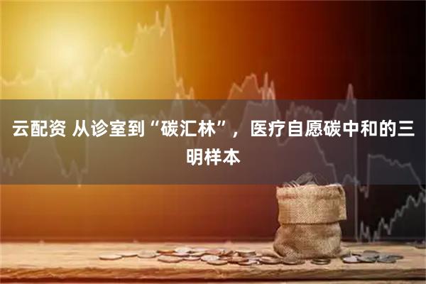 云配资 从诊室到“碳汇林”，医疗自愿碳中和的三明样本