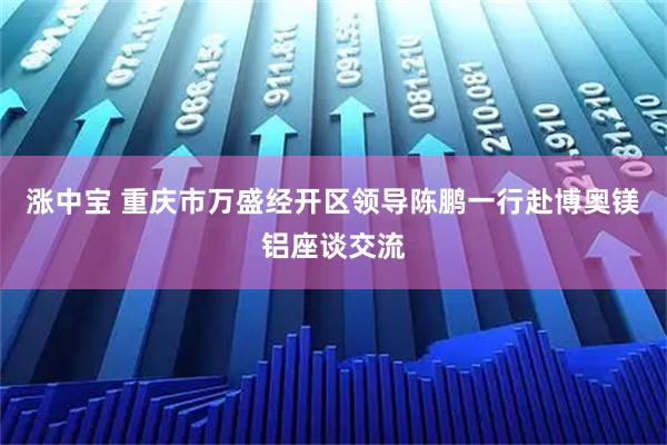 涨中宝 重庆市万盛经开区领导陈鹏一行赴博奥镁铝座谈交流