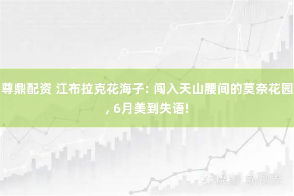 尊鼎配资 江布拉克花海子: 闯入天山腰间的莫奈花园, 6月美到失语!